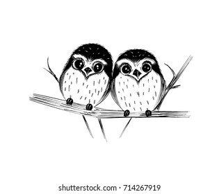 Cute couple of owls on branch isolated on white. Vector illustration.