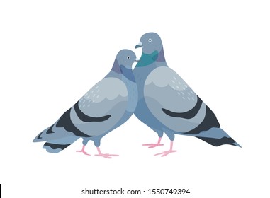 Cute couple of pigeons. Female and male birds in love standing together. Pair of sweetheart animals isolated on white background. Two romantic doves. Vector illustration in flat cartoon style.