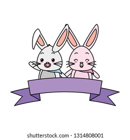 cute couple rabbit