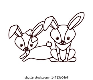 cute couple of rabbits on white background