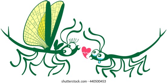 Cute couple of stick insects showing a male making a painful declaration of love by weeping and showing a broken heart while the female looks surprised, doubtful and not concerned