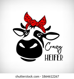 Cute cow with bandana on white background. Funny Heifer with red kerchief with hearts. Lettering Crazy Heifer. Humor card, t shirt composition, hand drawn style print. Vector illustration.