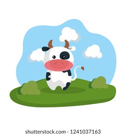 cute cow in the camp