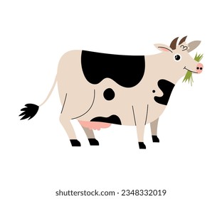Cute Cow Chewing Grass as Farm Animal Vector Illustration