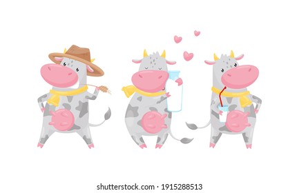 Cute Cow as Domesticated Animal with Hooves Chewing Grass and Drinking Milk Vector Set