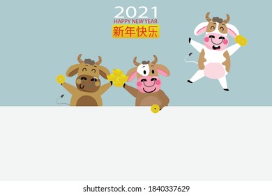 Cute cow and gold money on blue background. Happy Chinese new year greeting card. 2021 Ox zodiac. Animal holidays cartoon character. Translated:Happy new year.vector eps10.