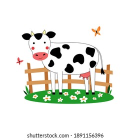 A cute cow grazes in a green farm pasture with grass and daisies. The field is surrounded by a fence. Summer rural landscape, butterflies fly. Isolated on white background vector cartoon illustration