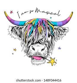 Cute cow (Hairy Coo) with a rainbow long hair and with a unicorn horns. I am so magical - lettering quote. Humor card, t-shirt composition, hand drawn style print. Vector illustration.