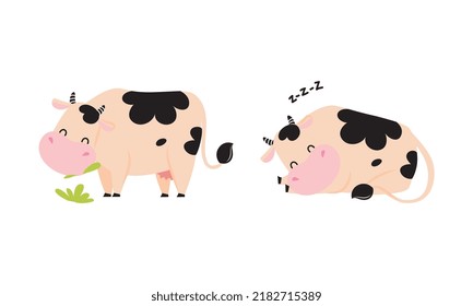 Cute Cow with Hoof Snoring Sleeping and Grazing on Pasture Chewing Grass Vector Set