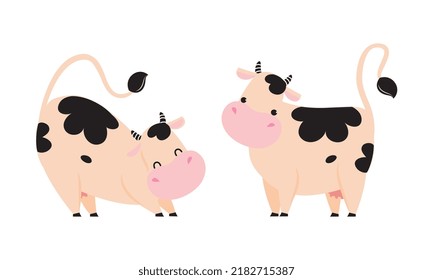 Cute Cow with Hoof Standing and Stretching Vector Set