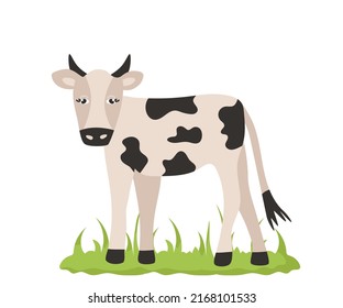 Cute cow livestock with black spots on the skin and horns in cartoon style. Vector animal character from a farm isolated on a white background.