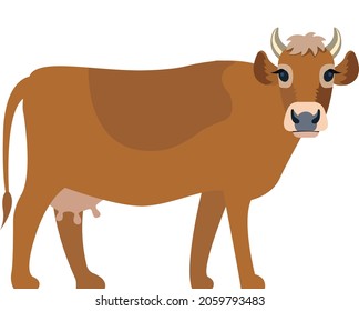 Cute Cow looking into your heart