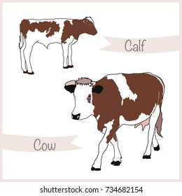 Cute cow mother with baby calf
