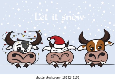 Cute Cow, Ox and Bull on snow blue background. New Year 2021