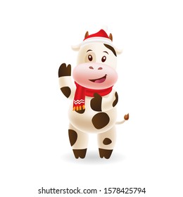 Cute cow with red cap and red scarf with isolated background