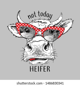 Cute cow in a red polka dot glasses. Not today heifer - lettering quote. Humor card, t-shirt composition, hand drawn style print. Vector illustration.