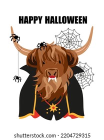 Cute Cow Scottish Highland Cattle with Cape Vampire Costume and Fangs, Spider Web hanging on the horns, Bat Halloween. Halloween Decoration, Card, Funny, Hand Drawn style print. Vector illustration