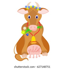 Cute cow sitting and chewing grass with full of milk udder