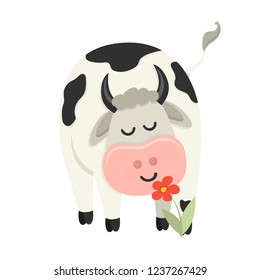 Cute cow sniffs a flower. Set of cute Cows character in various poses. Vector illustration for your design