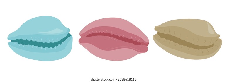 Cute cowrie set cute cartoon style. Seashell collection on white background.