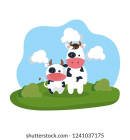 cute cows family in the camp