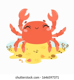 cute crab by the sea. animal, marine life