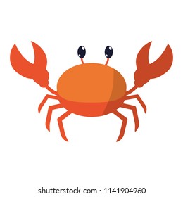 cute crab tropical animal of sea