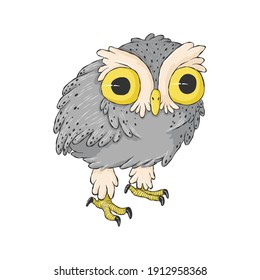Cute crazy owl. Cartoon hand drawn clip art. Surprised night owl in child style.