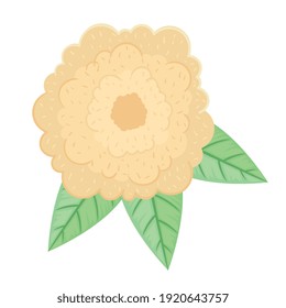 cute cream clor petals flower and leafs spring icon vector illustration design