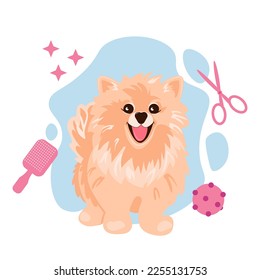 A cute cream spitz dog sitting and smiling. Grooming salon concept. Vector EPS10