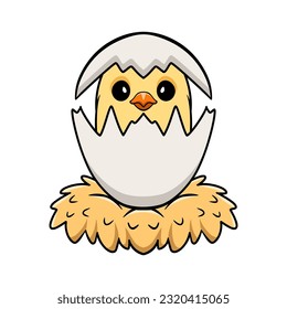 Cute creamino lovebird cartoon inside from egg