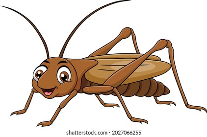Cute Cricket insect cartoon vector illustration