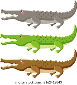 Cute crocodile cartoon character isolated illustration