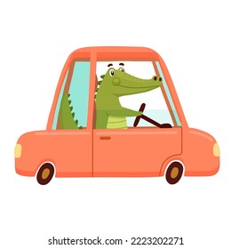Cocodrilo lindo conduciendo en coche rojo. Curioso lagarto aislado en blanco. Vector de dibujos animados Ilustración Carácter animal verde