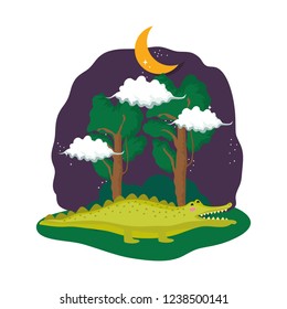 cute crocodile in the landscape on the night