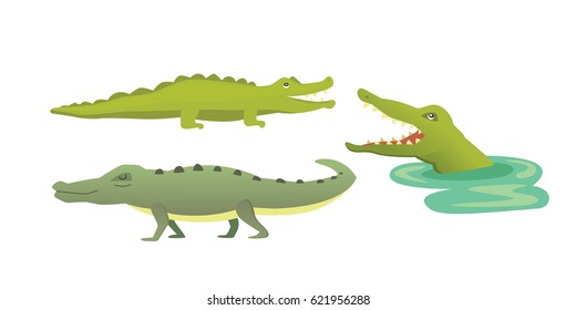 Cute Crocodile set. Aligator vector cartoon illustration