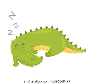 Cute crocodile is sleeping. Vector illustration on a white background.