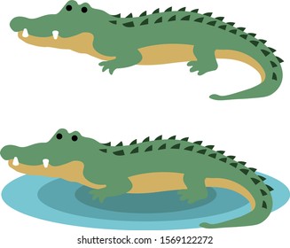 Cute crocodiles graphic - one normal, one with water ripple