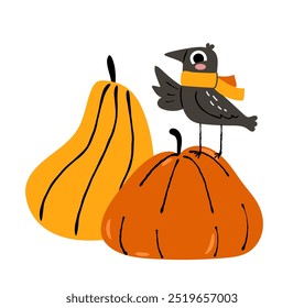 Cute crow in autumn scarf on pumpkins. Autumn illustration concept.