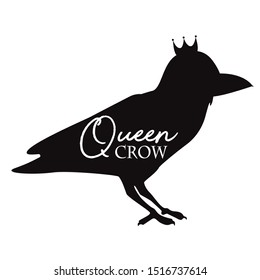 Cute crow, bird, vector illustration