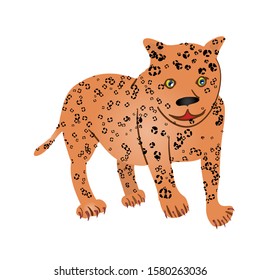  Cute cub of wild leopard.   Vector illustration isolated on white background.