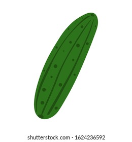 Cute cucumber isolated on white background. Doodle vegetable. Vegetarian healthy food. Fresh organic ingredient. Vector illustration