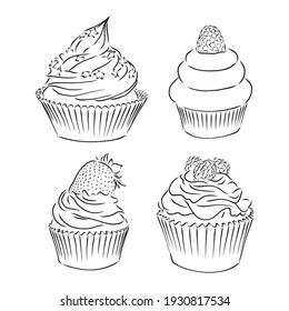 Cute cupcakes set isolated on White background. Vector illustration. cupcake vector sketch on a white background