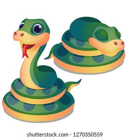 Cute curled up green snake isolated on white background. Vector cartoon close-up illustration.