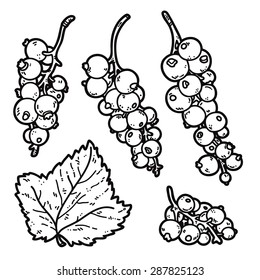 cute currant. Vector set of cute hand drawn outlines currant