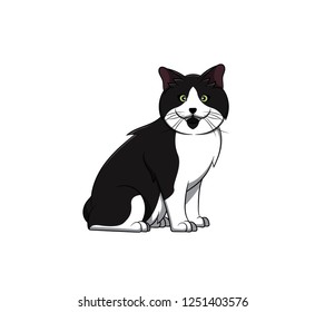 Cute Cymric Cartoon Cat. Vector illustration of purebred cymric cat.