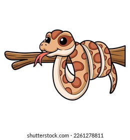 Cute daboia russelii snake cartoon on tree branch
