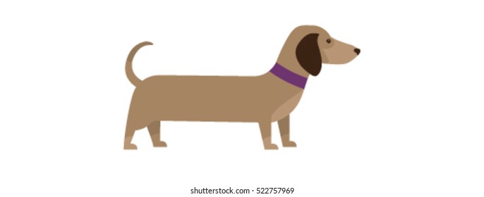 Cute Dachshund
