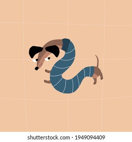 Cute dachshund in a blue sweater. Funny dogs vector illustration.