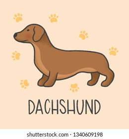 Cute Dachshund cartoon hand drawn style